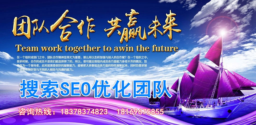 搜索SEO优化团队